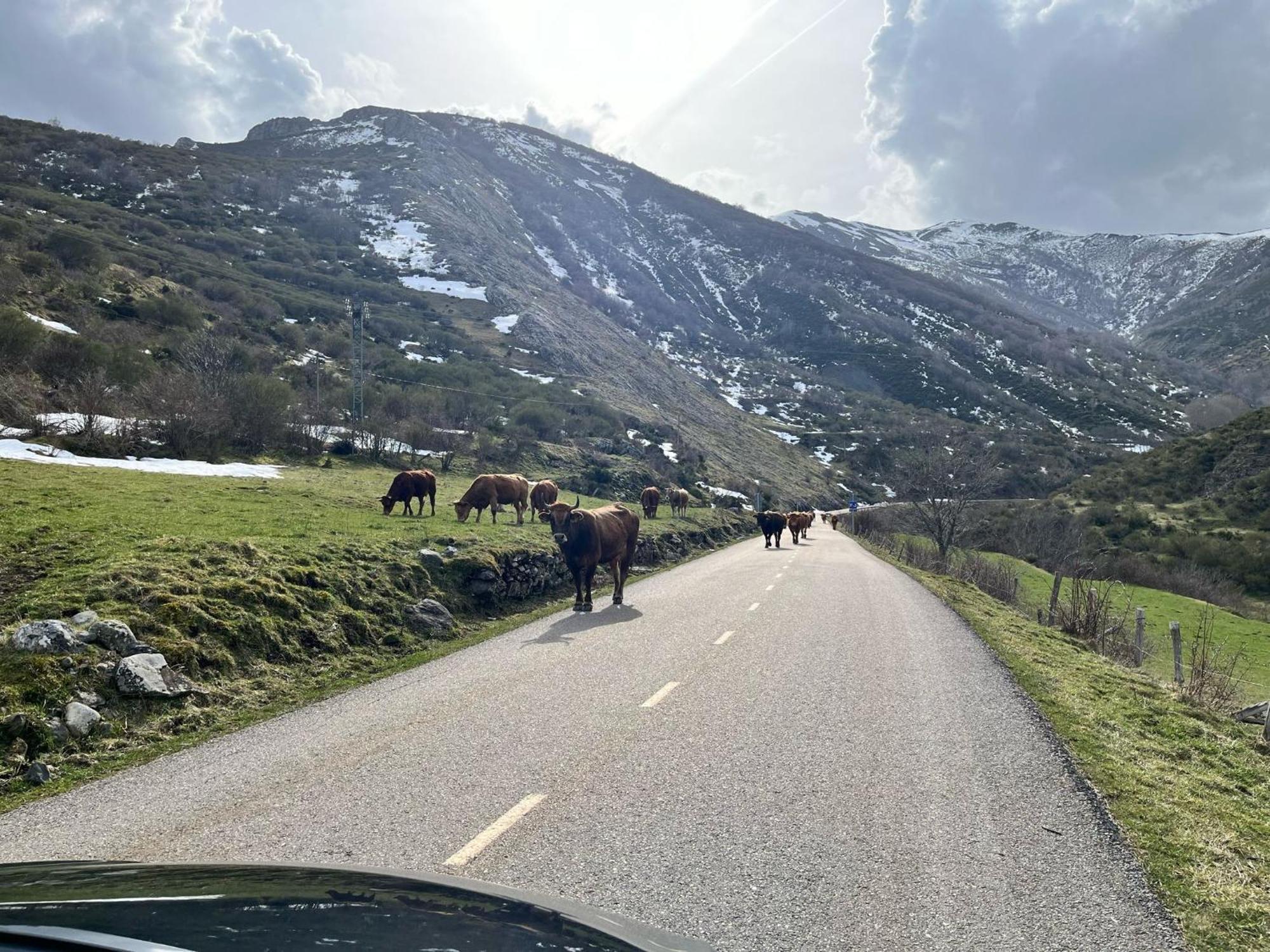 Casas Rurales Cuatro Valles Naredo de Fenar Exteriér fotografie