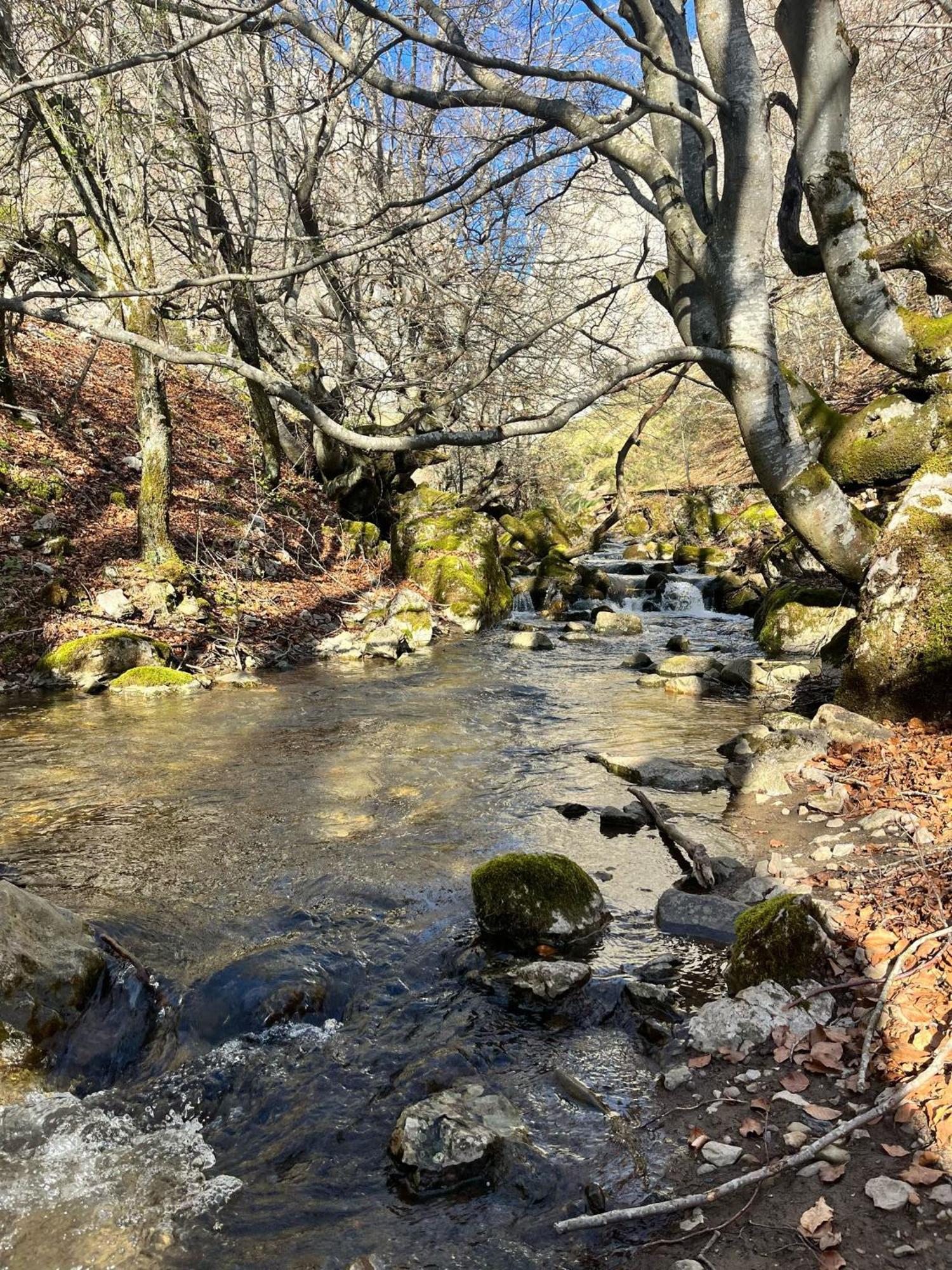 Casas Rurales Cuatro Valles Naredo de Fenar Exteriér fotografie